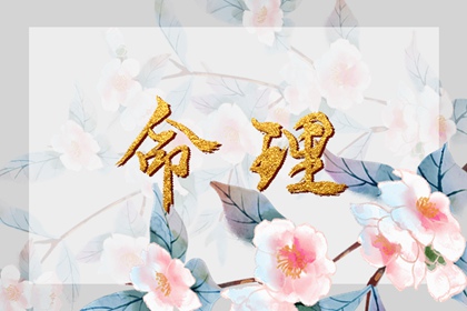 紫微星测试_紫星命盘_紫微星生辰八字_命盘测算_八字桃花命盘查询
